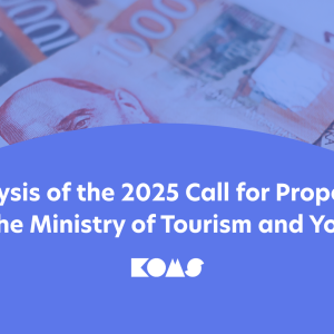 Analysis of the 2025 Call for Proposals by the Ministry of Tourism and Youth Analysis of the 2025 Call for Proposals by the Ministry of Tourism and Youth