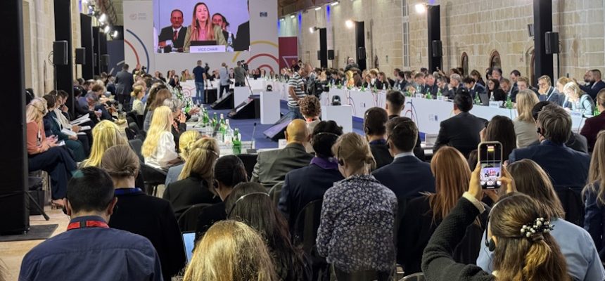 KOMS na Desetoj konferenciji ministara odgovornih za mlade Saveta Evrope