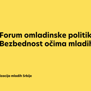 Forum omladinske politike: Bezbednost očima mladih